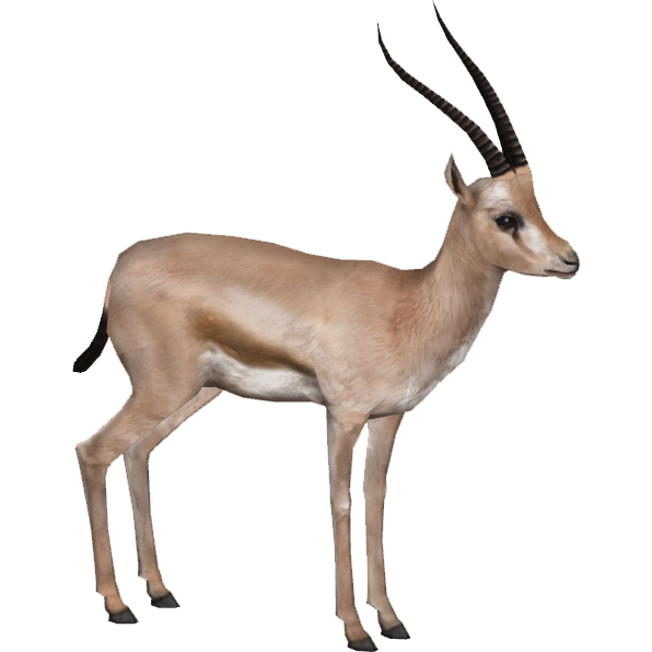 clipart animals gazelle
