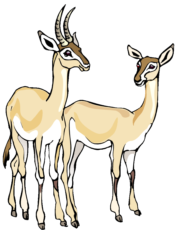 Woodland clipart buck. Free gazelle
