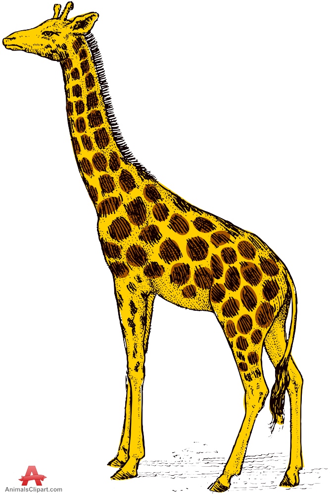 clipart giraffe yellow