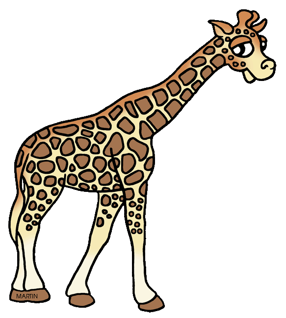 giraffe clipart terrestrial animal