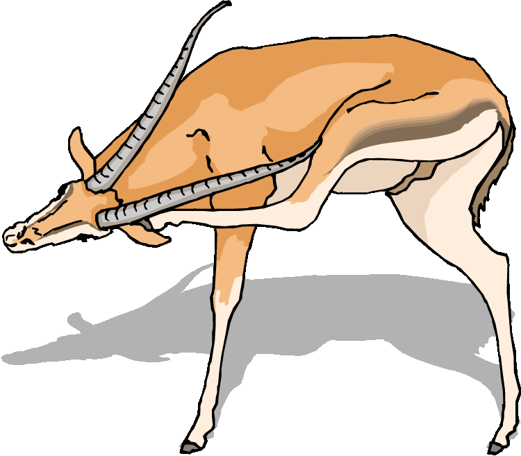 clipart animals impala