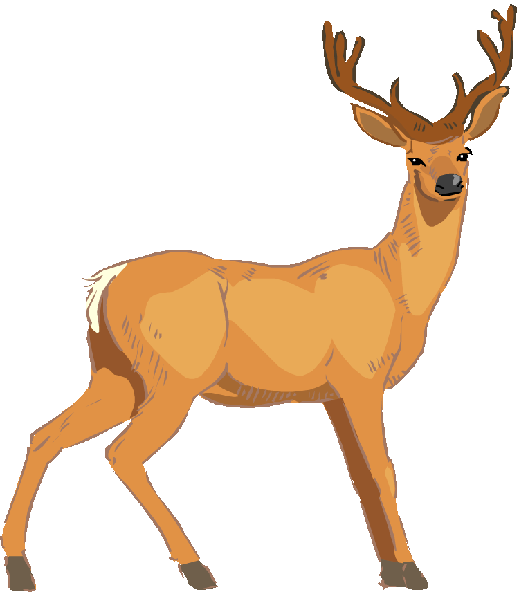 Clipart flower deer. Impala at getdrawings com
