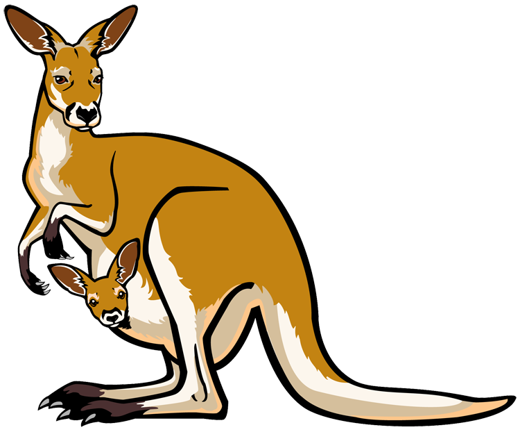 kangaroo clipart cartoon character