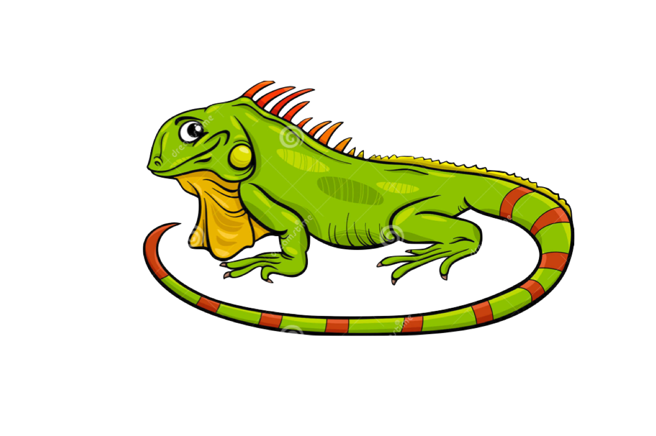 Lizard art salamandre gecko. Iguana clipart baby