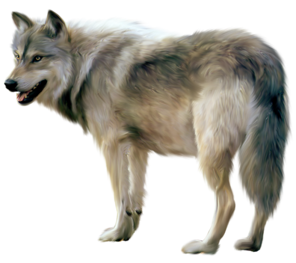 Mountain clipart wolf. Painted animals pinterest