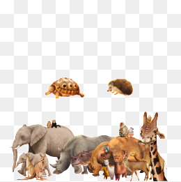 clipart animals meeting