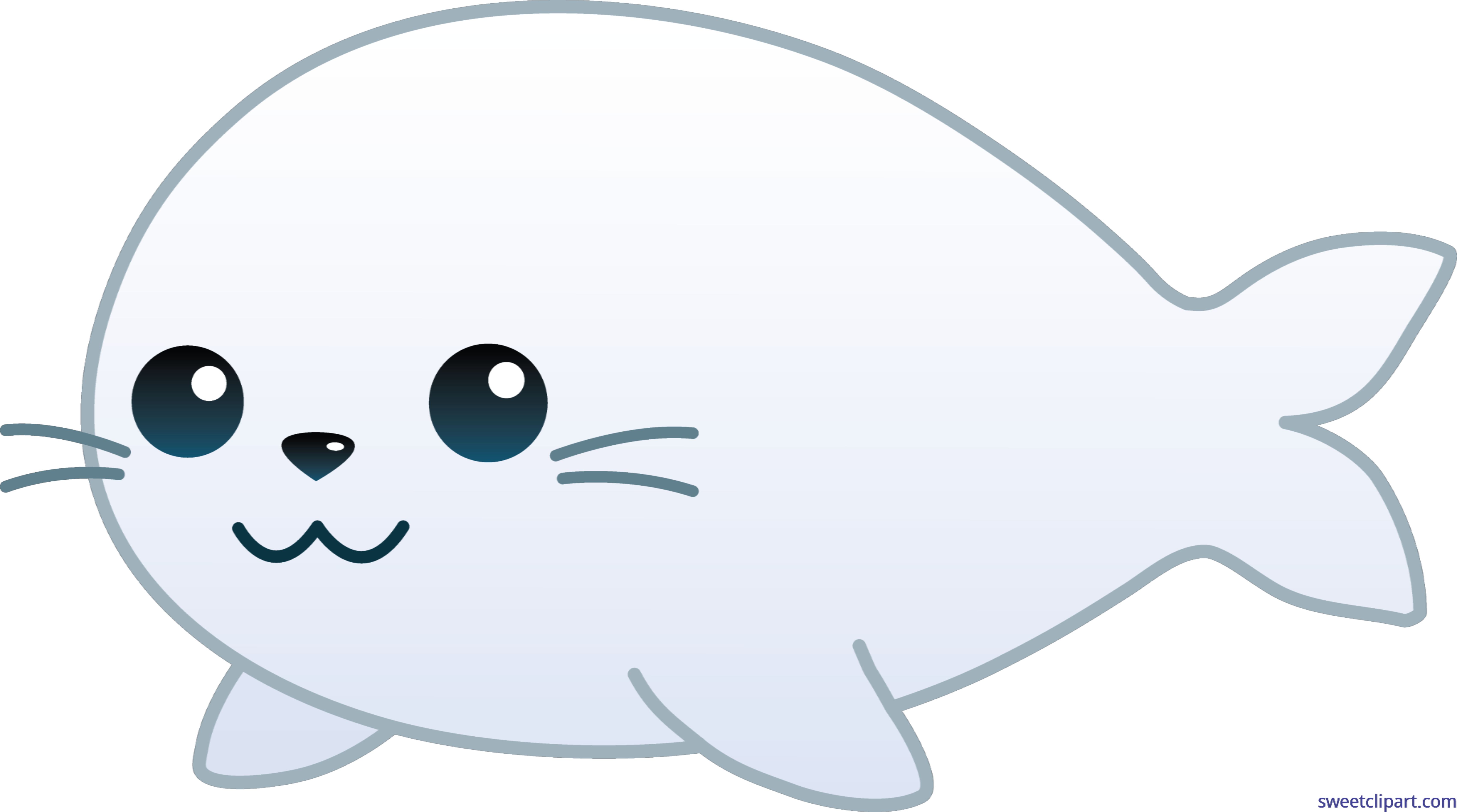 seal clipart baby seal