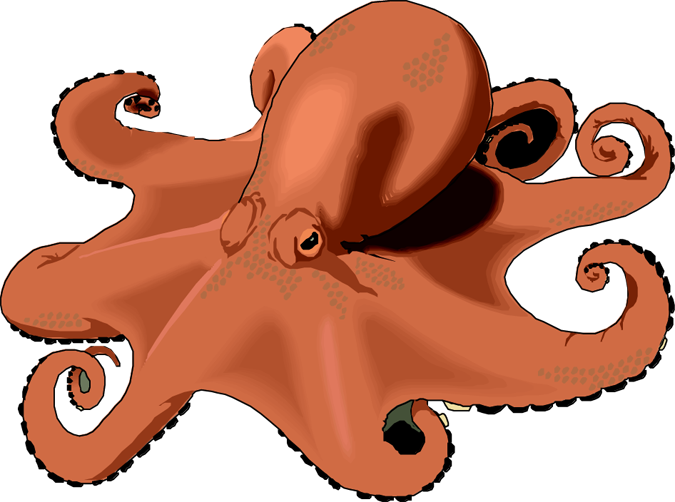 Free clipart octopus. Images clipartix 