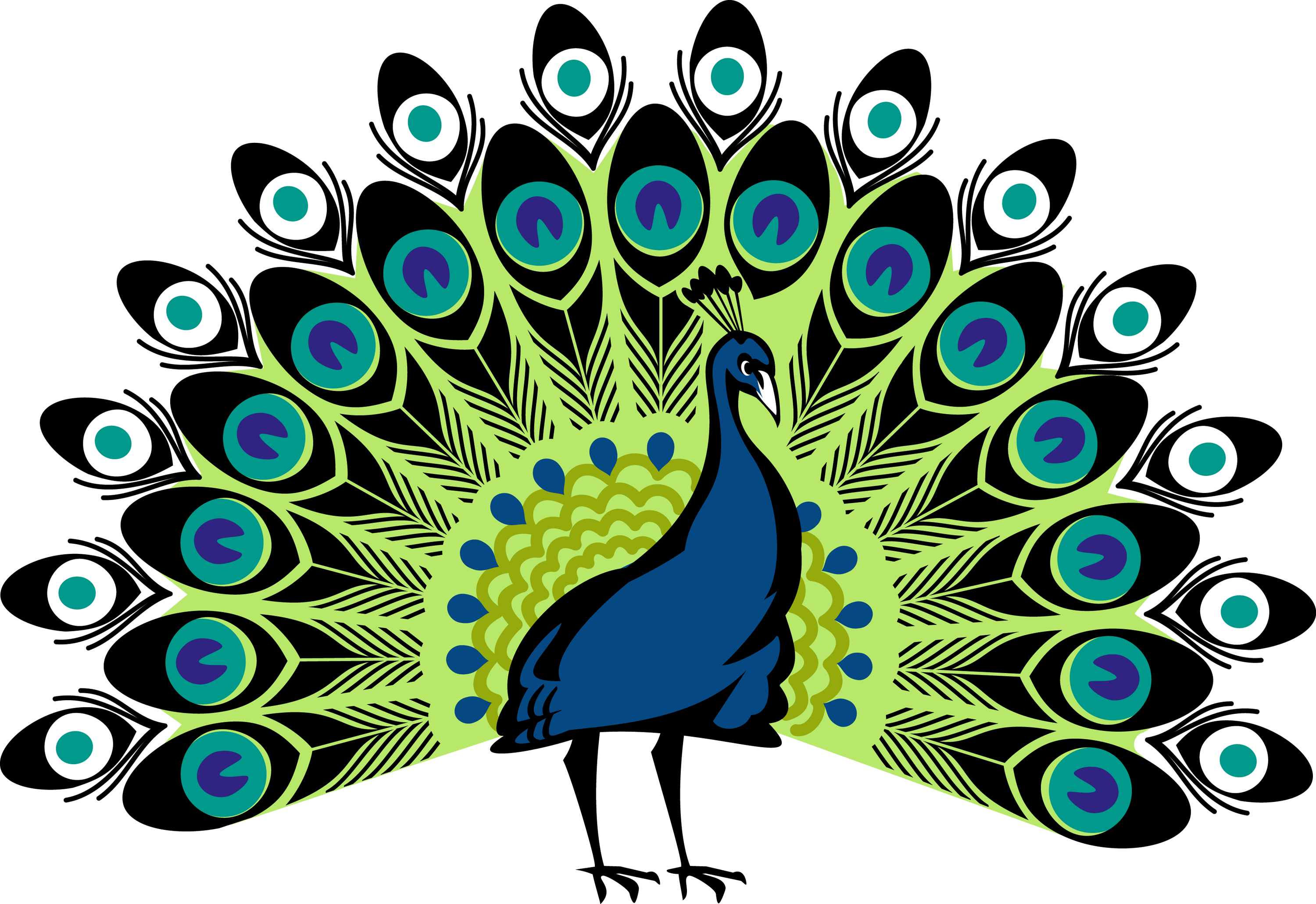 Png images free download. Logo clipart peacock