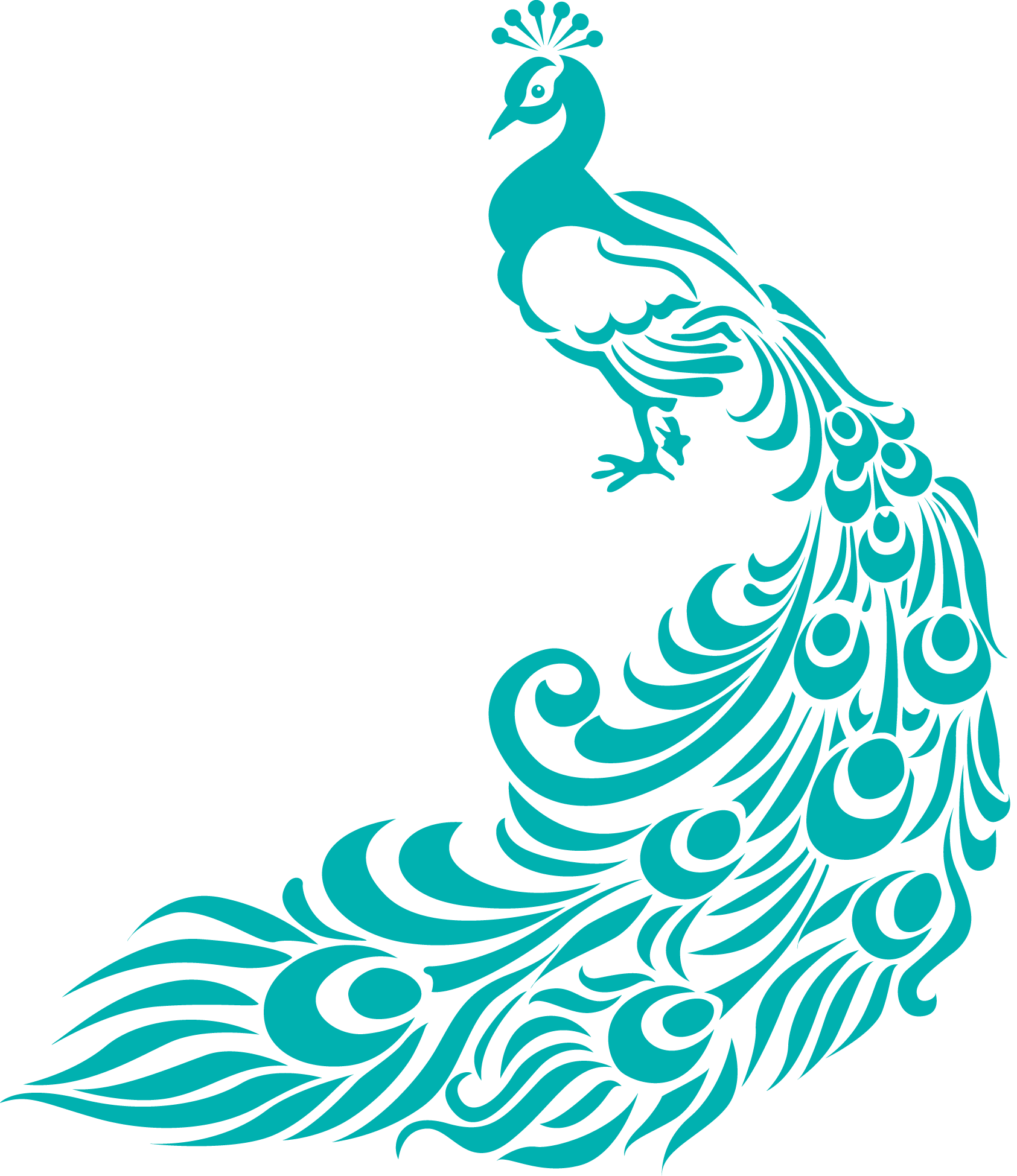 Crowning ceremony of the. Clipart designs peacock
