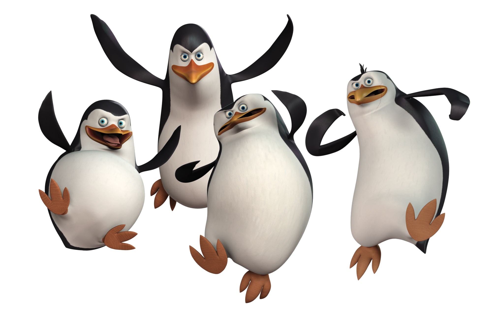 Sixteen isolated stock photo. Clipart penquin group penguin
