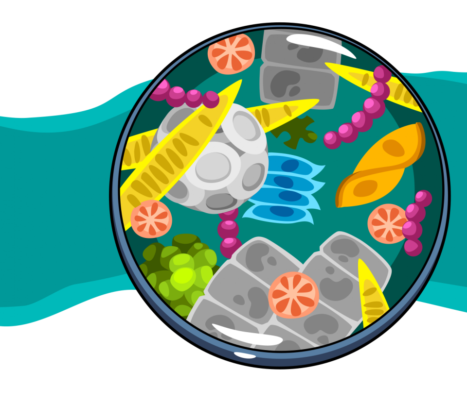 germs clipart food microbiology