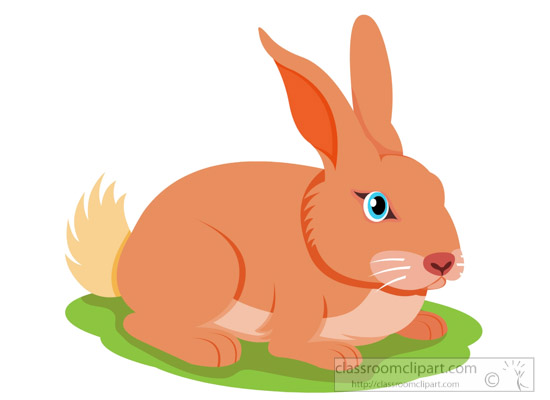 Clipart rabbit clip art. Free pictures graphics 