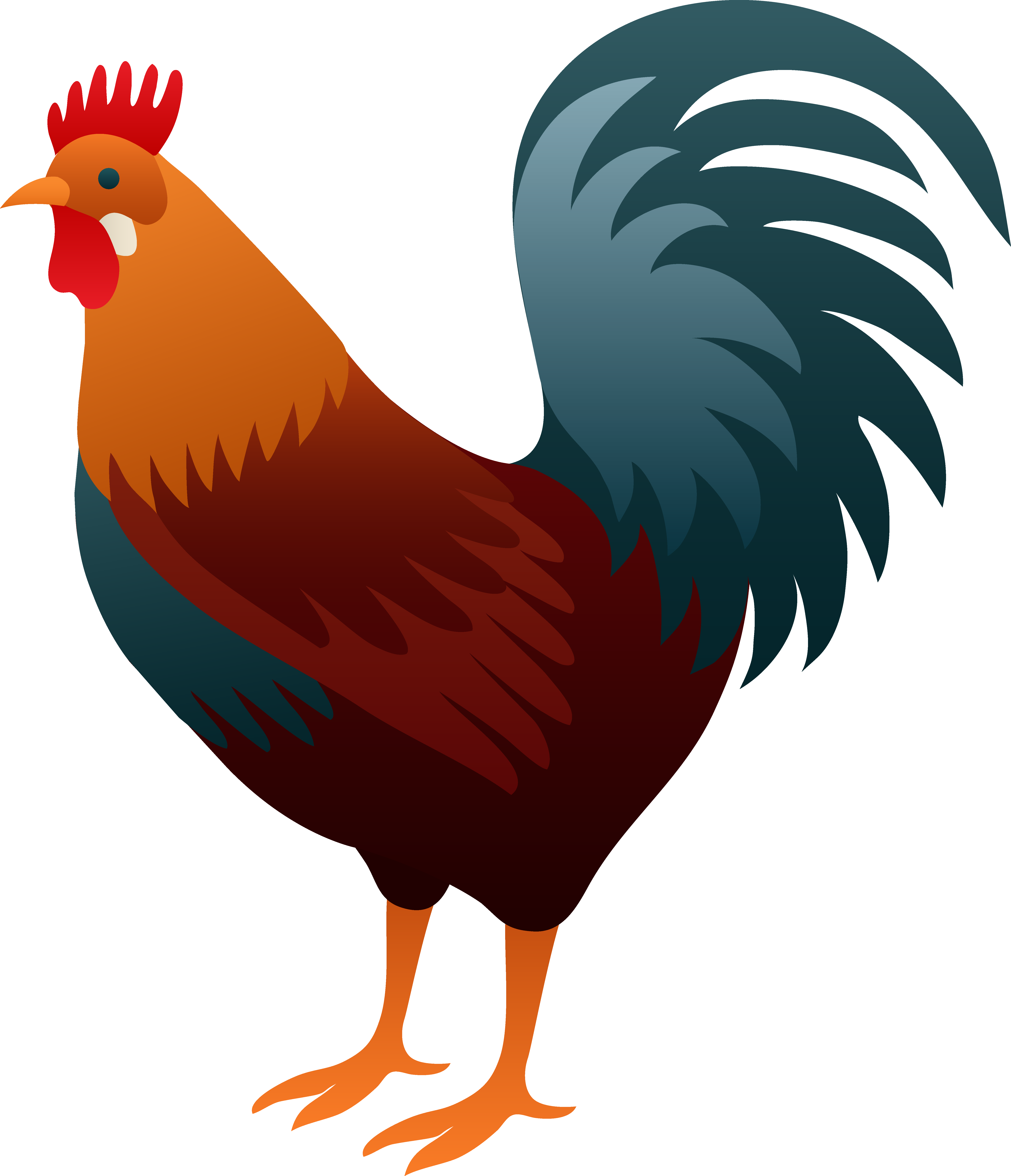 Colorful rooster clip art. Clipart door colourful