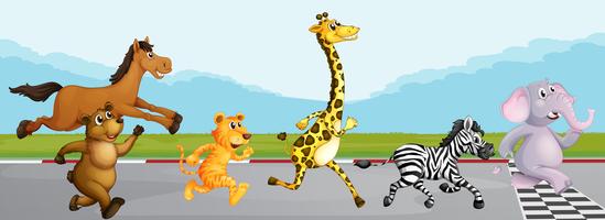Running race at finish. Clipart animals run
