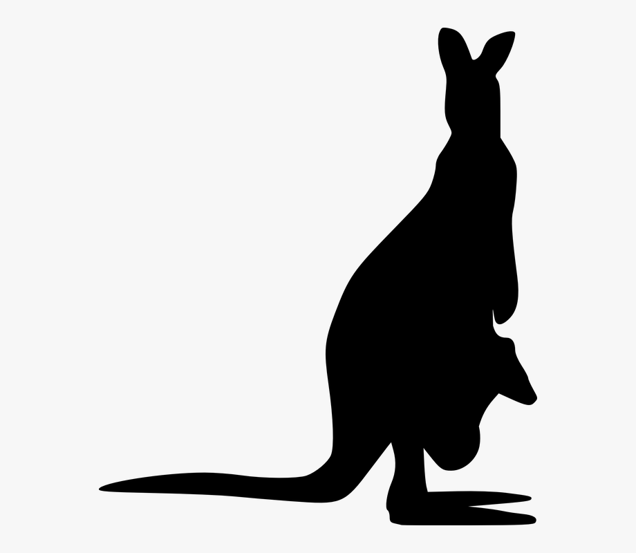 Shadow australia animals . Kangaroo clipart silhouette
