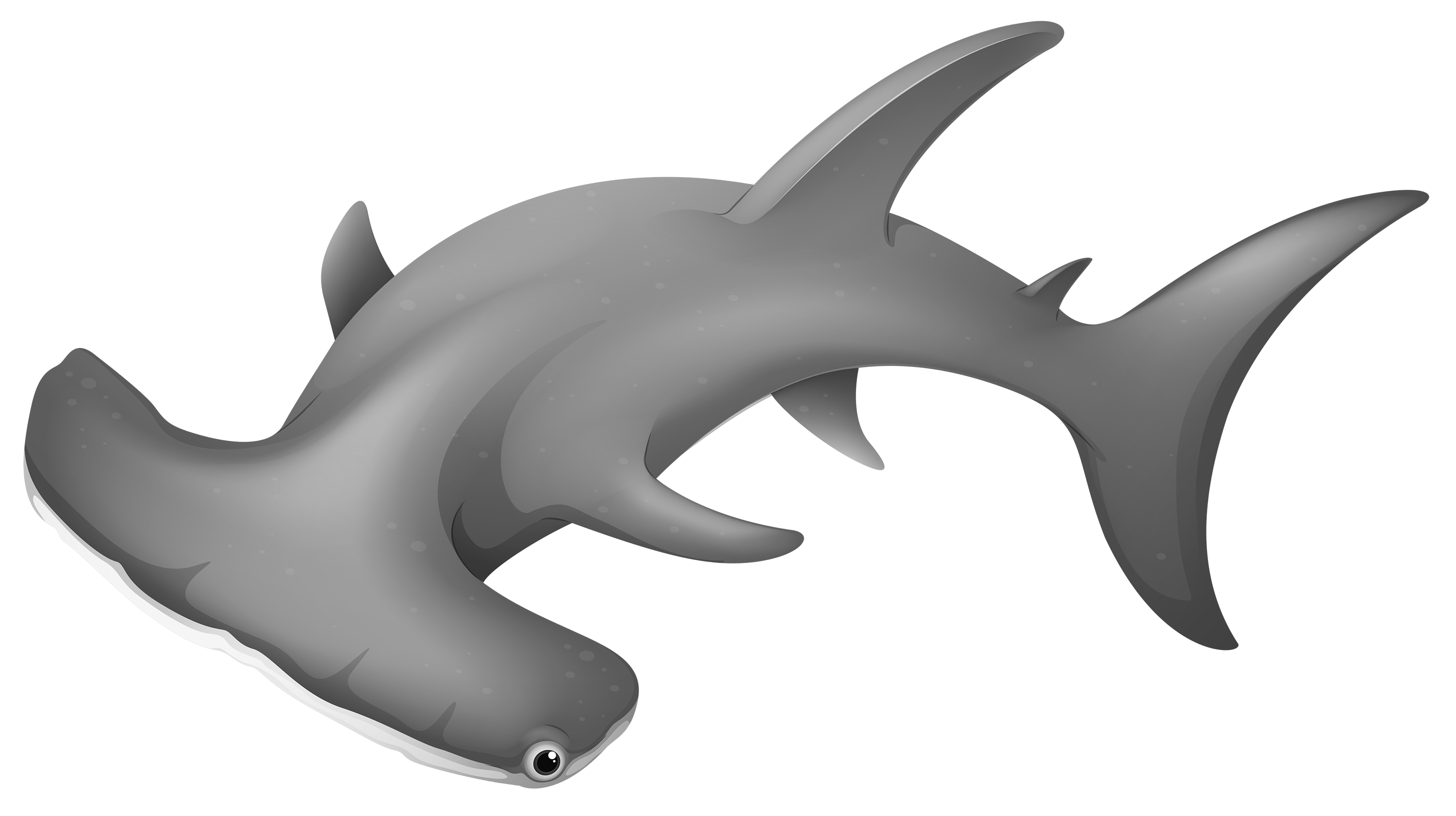 Clipart shark underwater. Hammerheadshark png best web