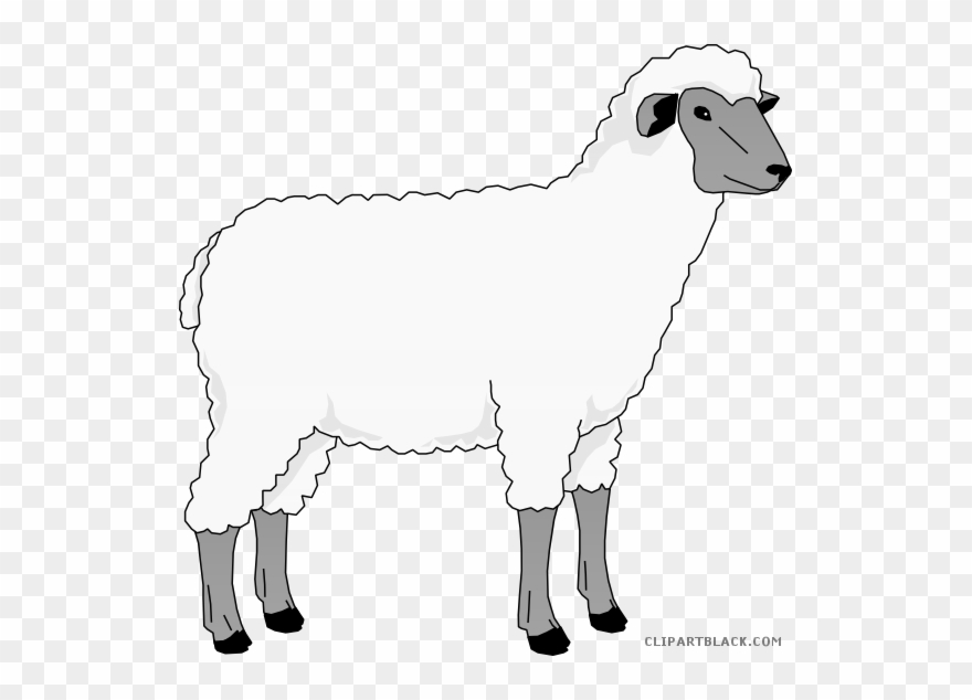 Clip art merino farm. Goat clipart sheep