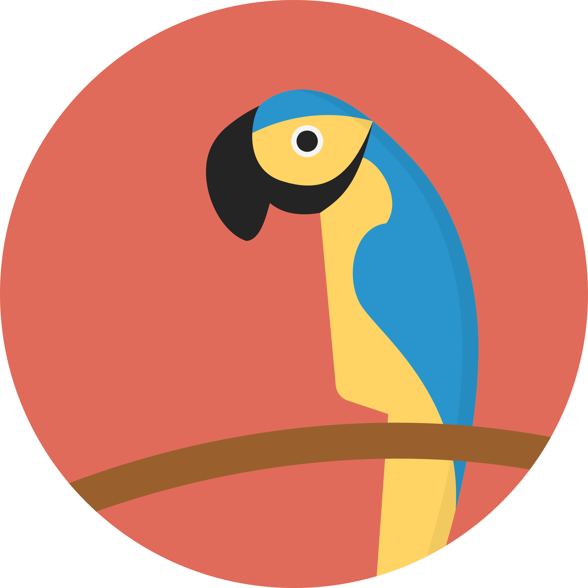 parrot clipart tail