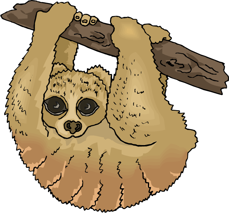 Free sloth. Clipart animals tree