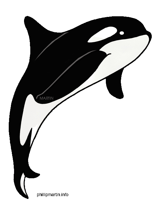 White clipart comma. Orca whale 