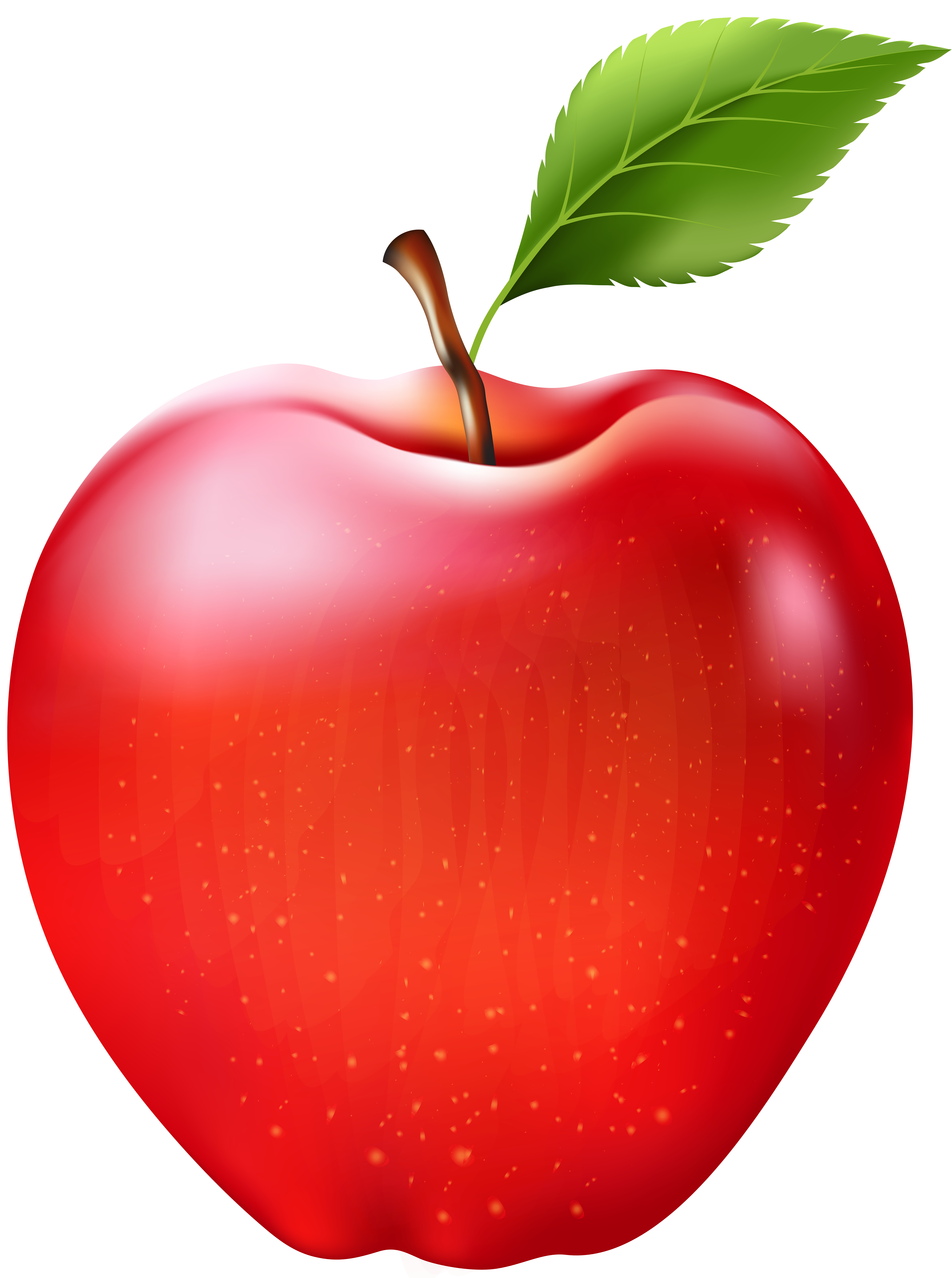 Clipart apples clip art. Apple transparent png image