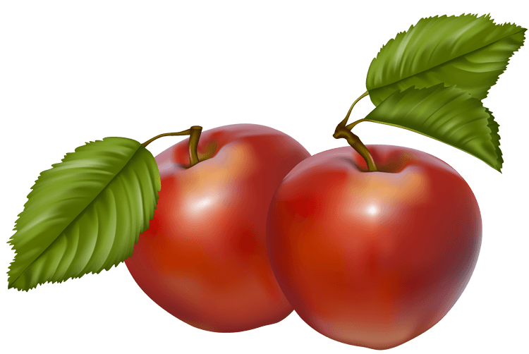 clipart apples boarder