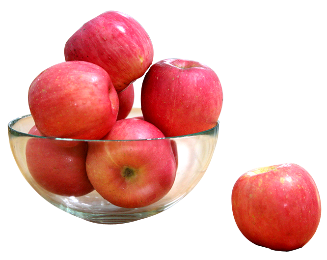 clipart apple bowl