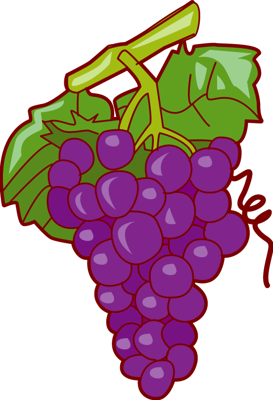 Coloring clipart grape. Purple grapes fruit and