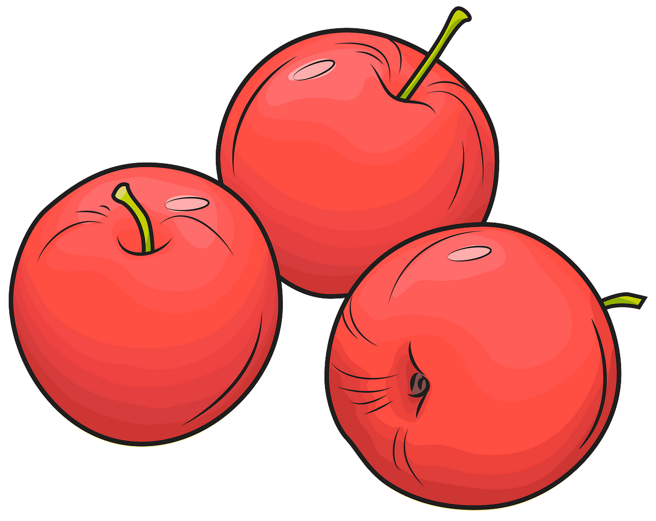 clipart apple bunch
