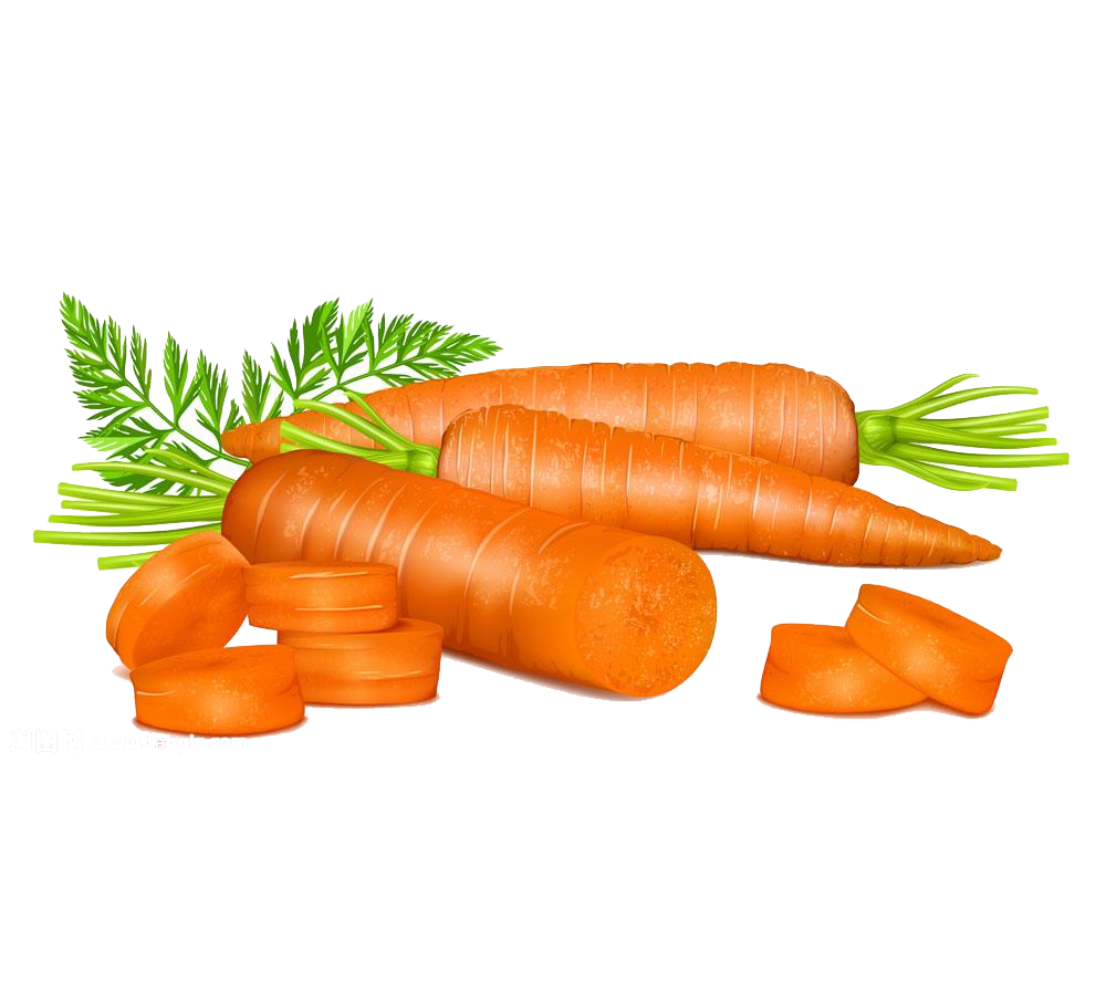 clipart apples carrot