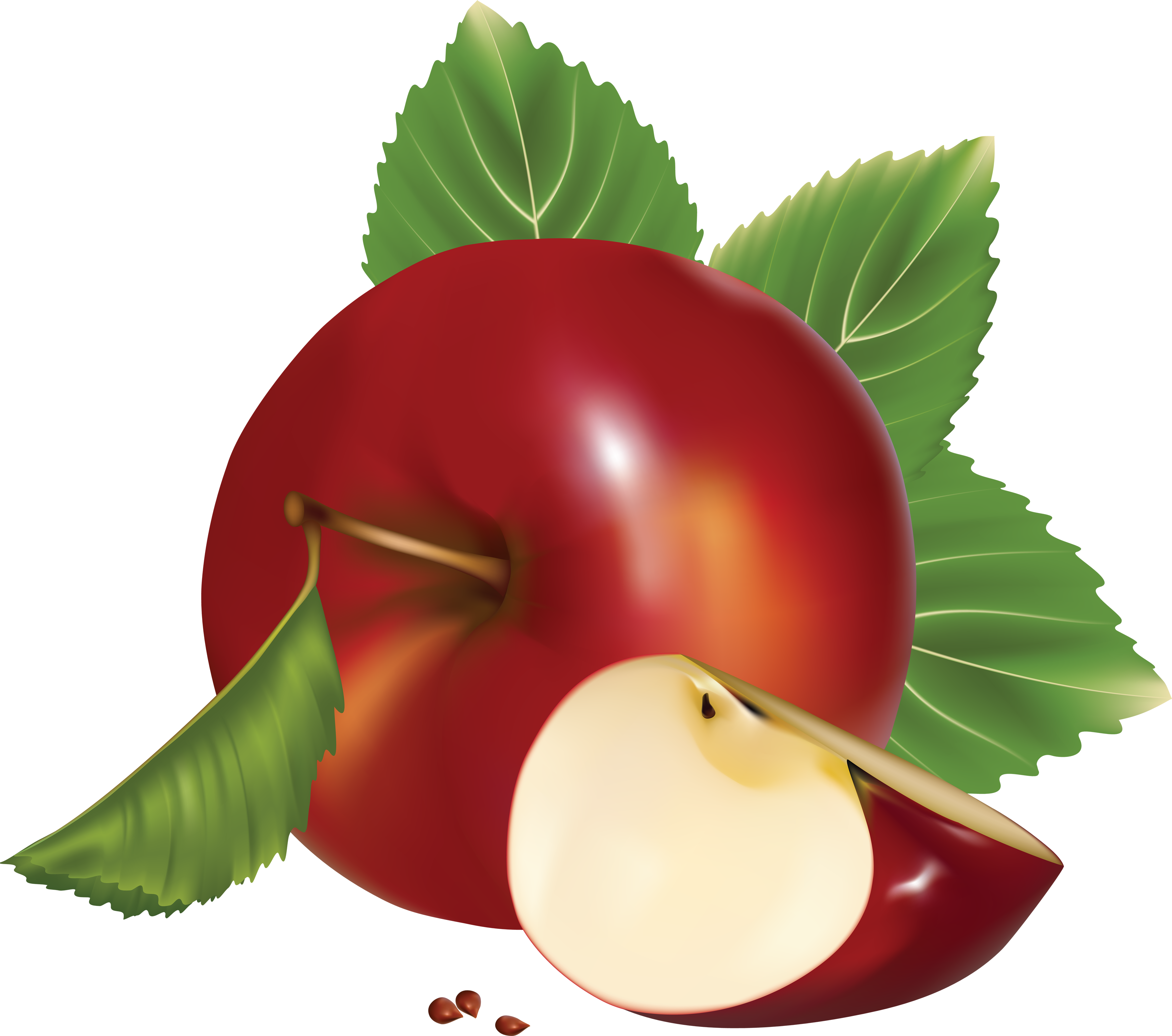 Young clipart apple tree. Fresh red with green