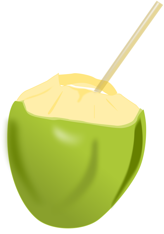 Animations and vectors coconut. Free clipart fruit
