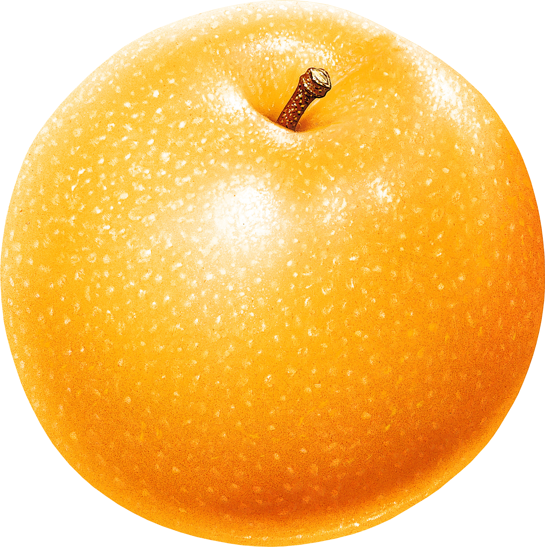 Clipart apple orange. High quality png web