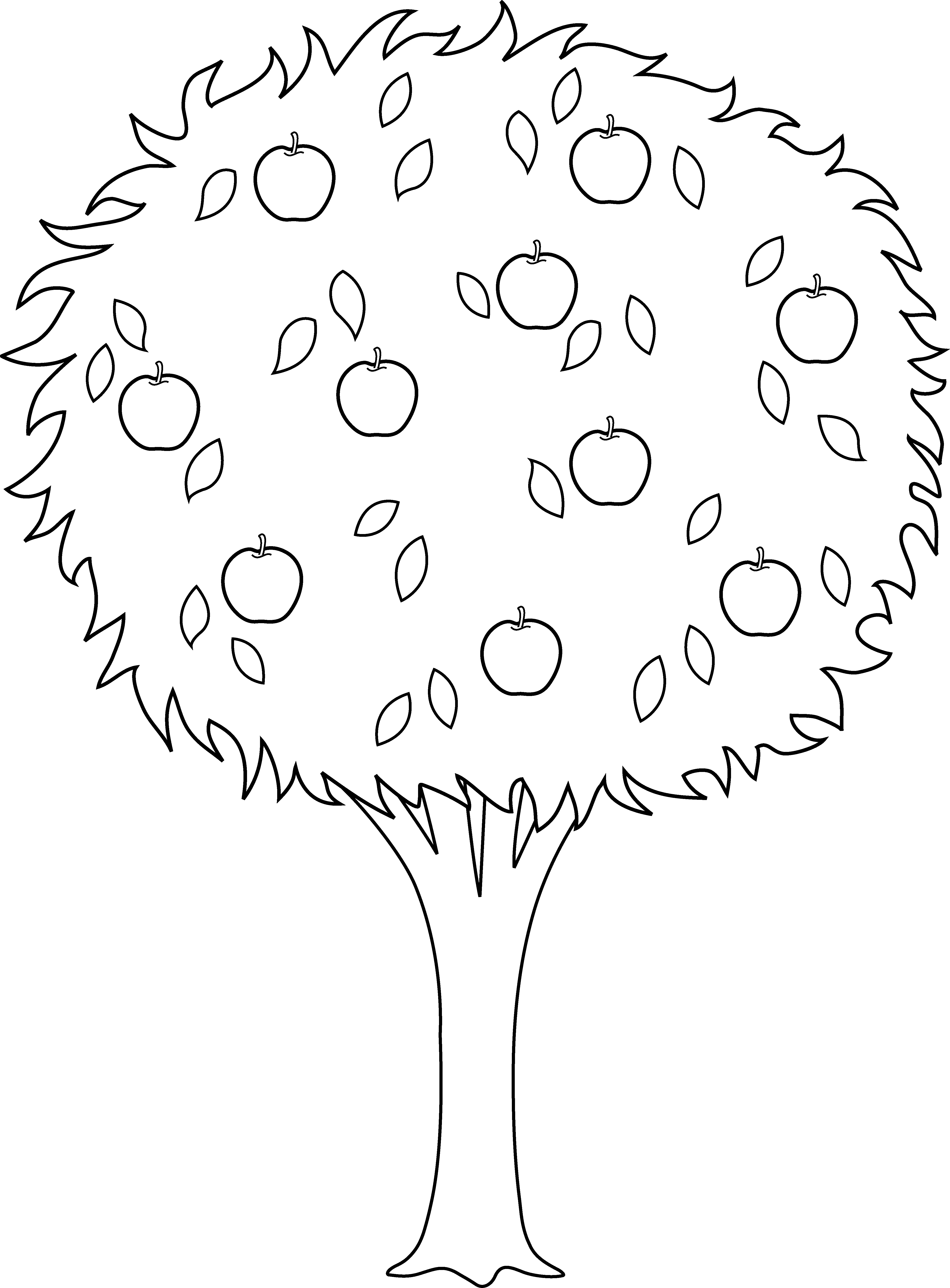 roots clipart colouring page