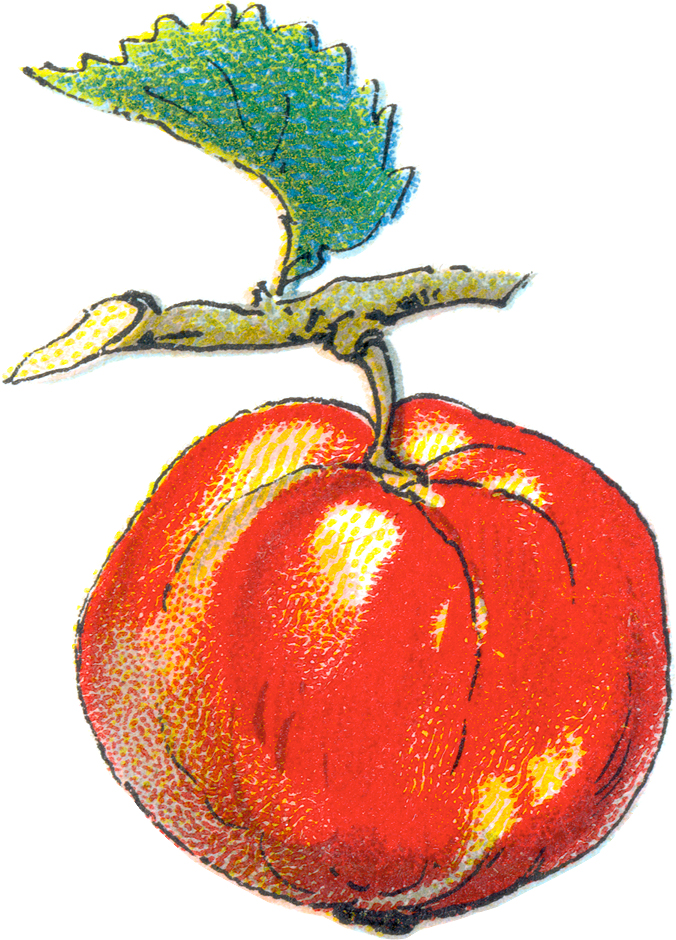 Clipart apple vintage. Oak meadow providers of