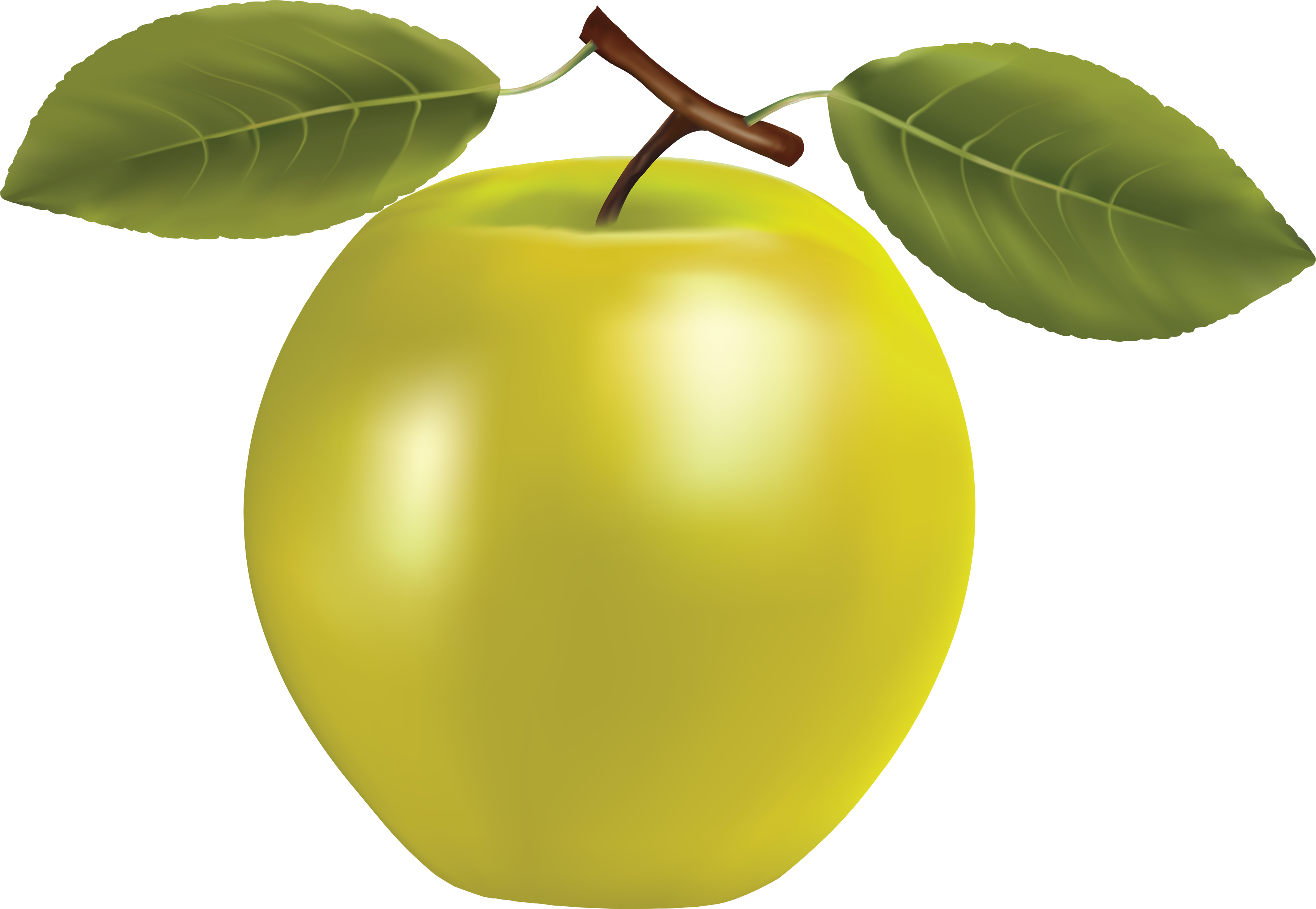 clipart apple yellow