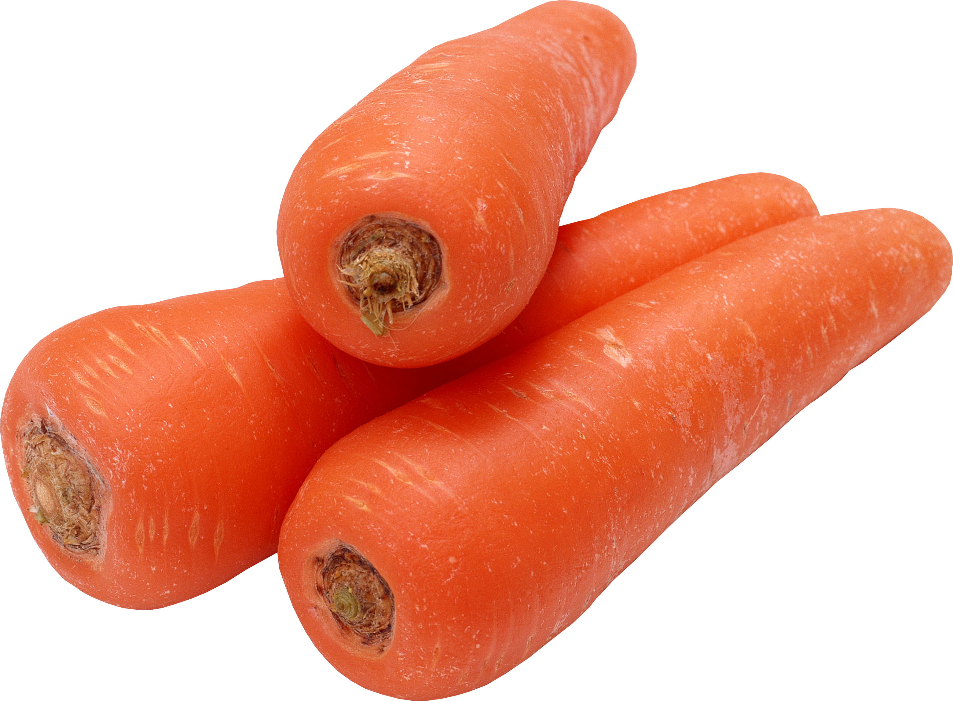 Seventeen isolated stock photo. Field clipart carrot