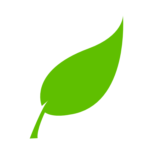  collection of single. Leaf vector png