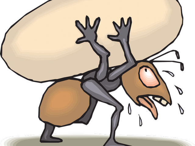 Ants free on dumielauxepices. Insect clipart angry ant