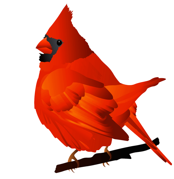 clipart baby cardinal