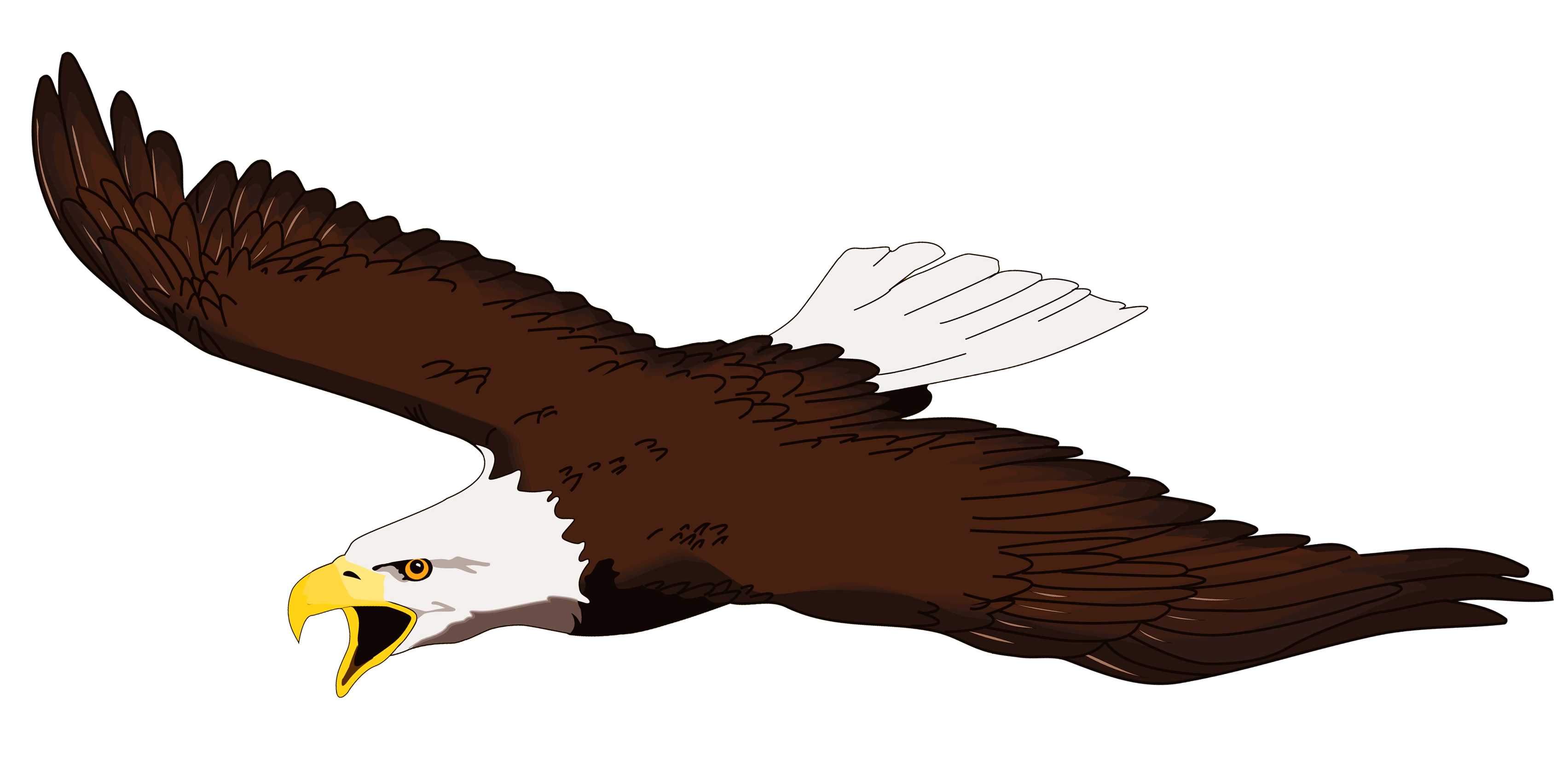 Eagle clipart body. Images for clip art