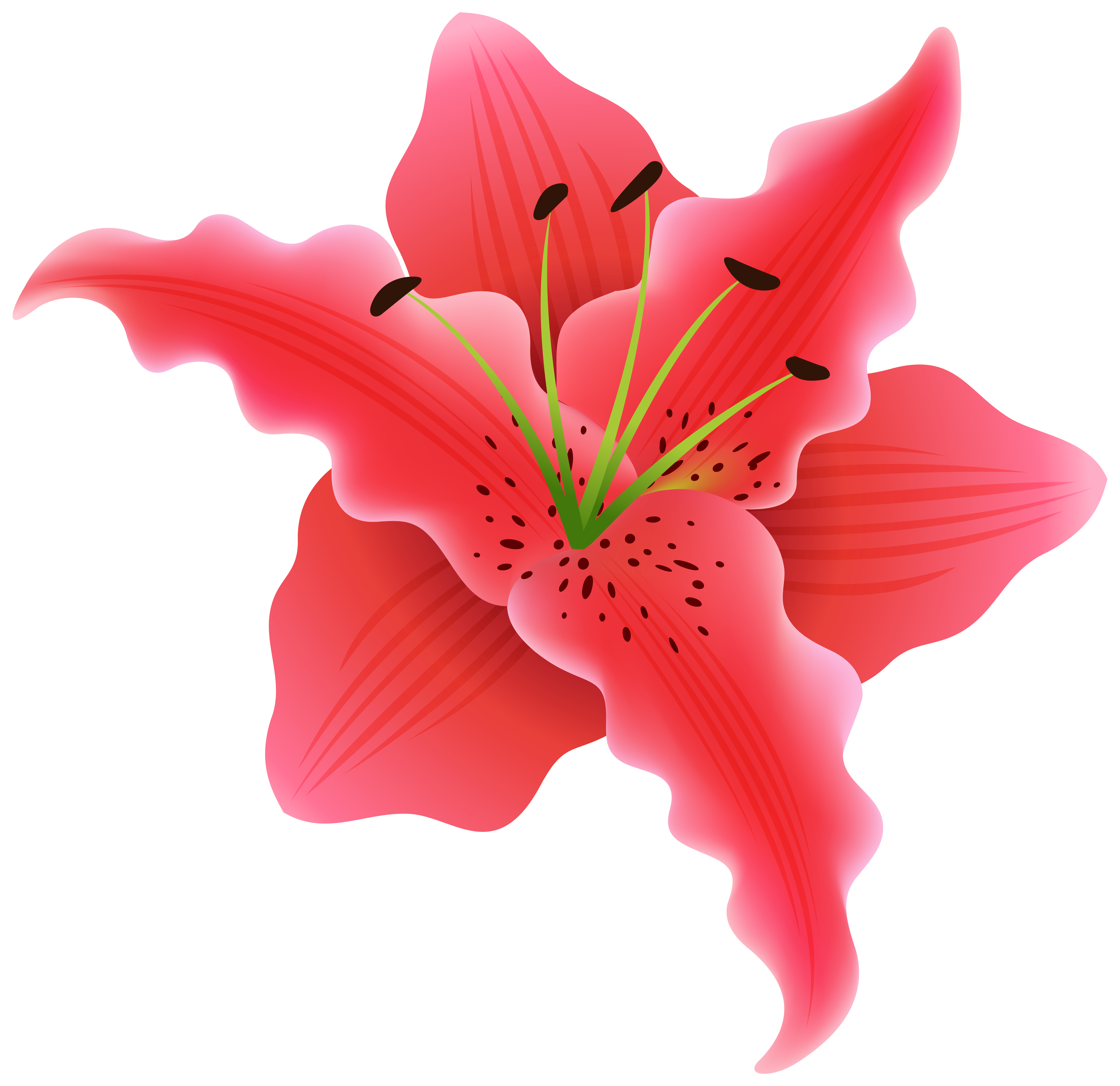 Beautiful flower png. Exotic clipart image gallery