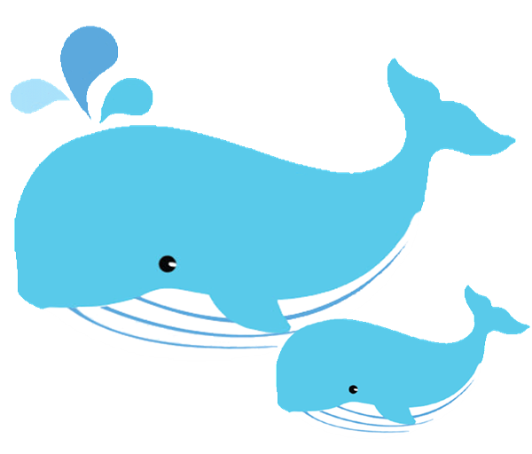 clipart whale reading