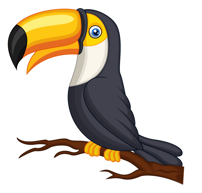 clipart baby parrot