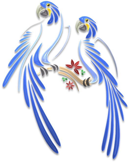 Infinity clipart bird. Parrots illustrations art islamic
