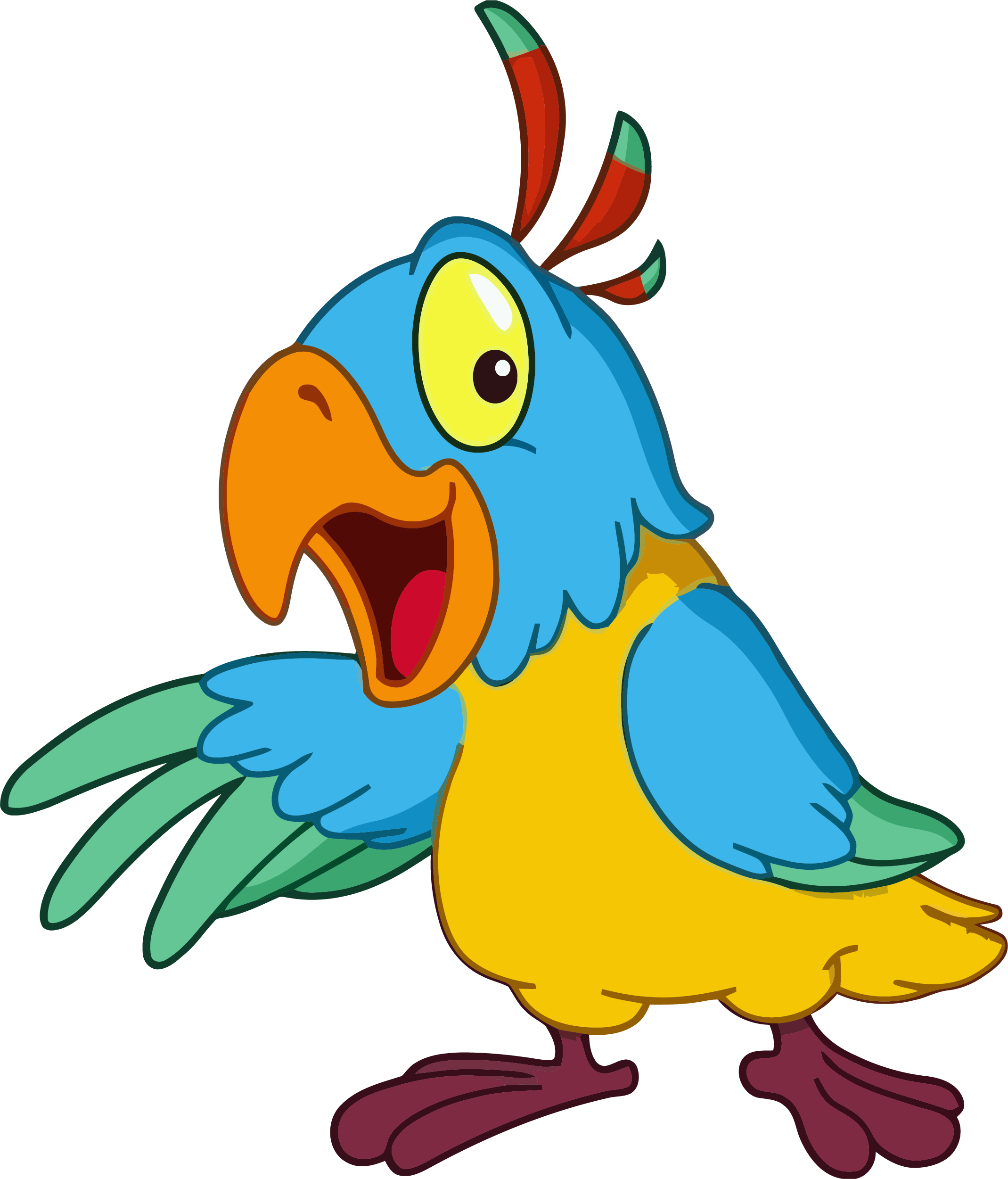 Home clipart parrot. Bird png clipartly comclipartly