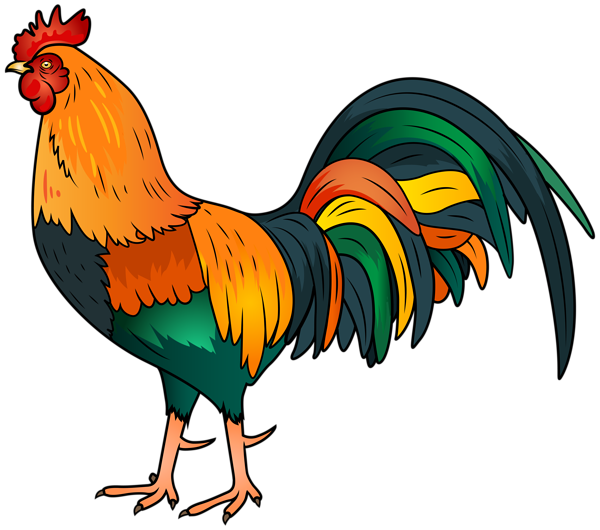 Png clip art image. Clipart baby rooster
