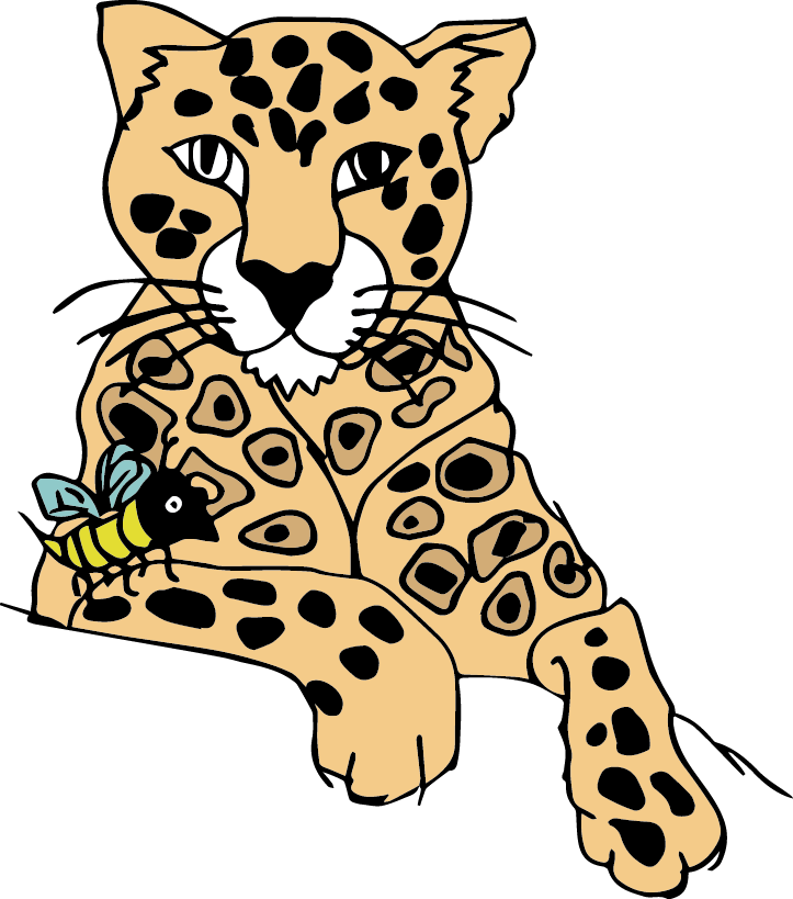 leopard clipart clouded leopard