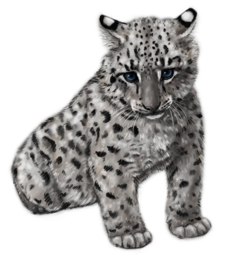 clipart baby snow leopard